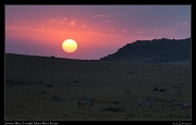  Mara sunset � J. Zinn
